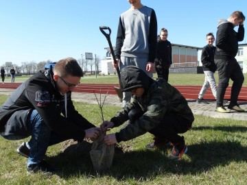 Akcja 100 drzew na 100-lecie województwa łódzkiego w SP w Wojsławicach, <p>Archiwum OT SPK</p>